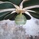 Suspension fleur pétales lin et rotin, globe vintage