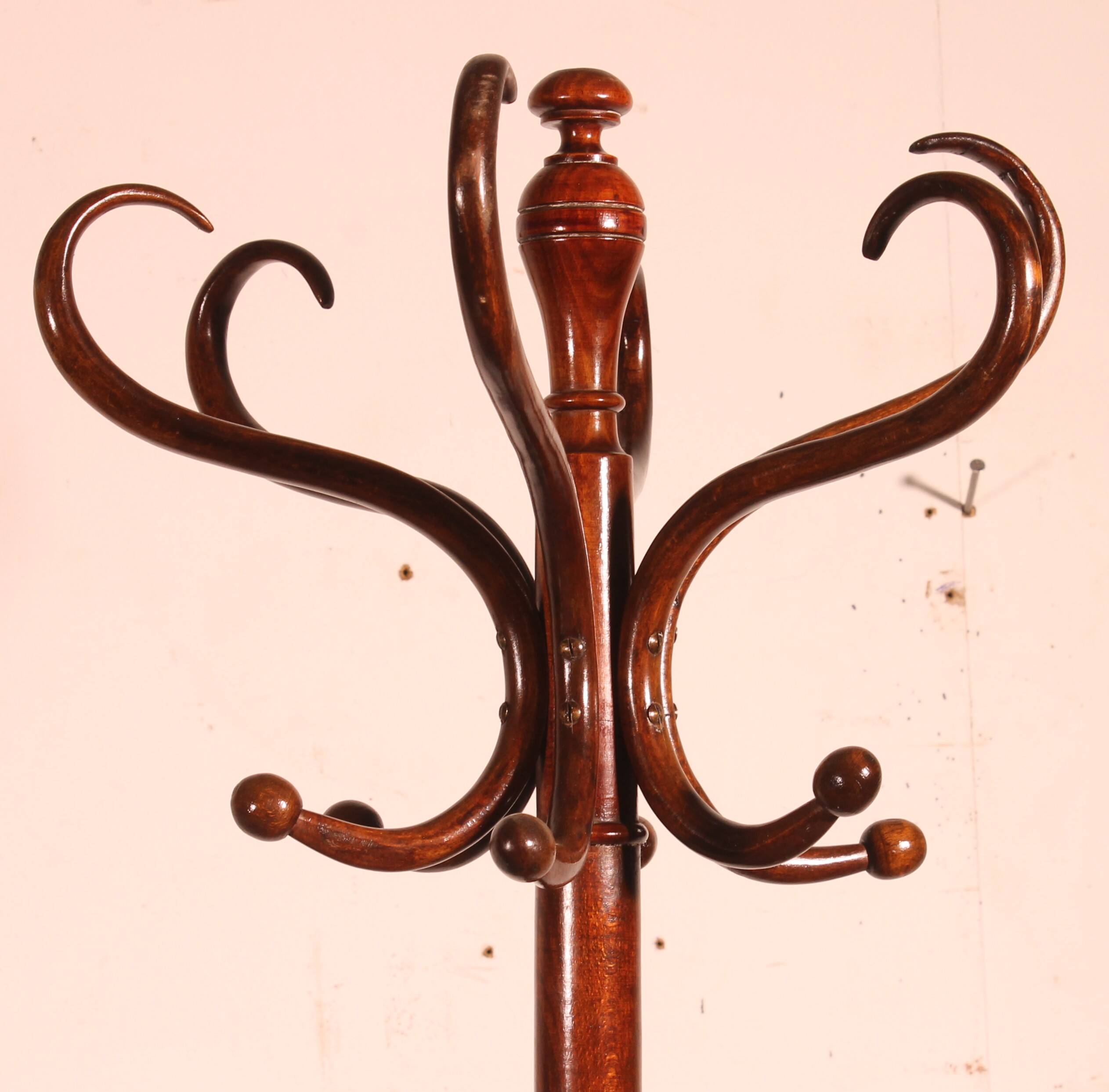 Parrot coat rack, Art Nouveau, known as Thonet