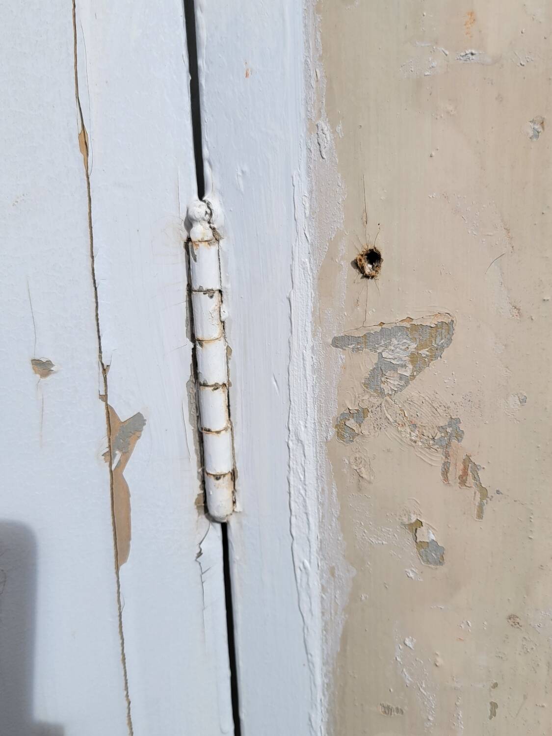 Antique wall cupboard door circa 1900 228x60.5 cm