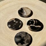 Set of 4 fossilized wooden coasters