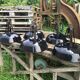 Set of black industrial lamps from the 1970s