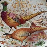 Pheasant and partridge dish in dabbling