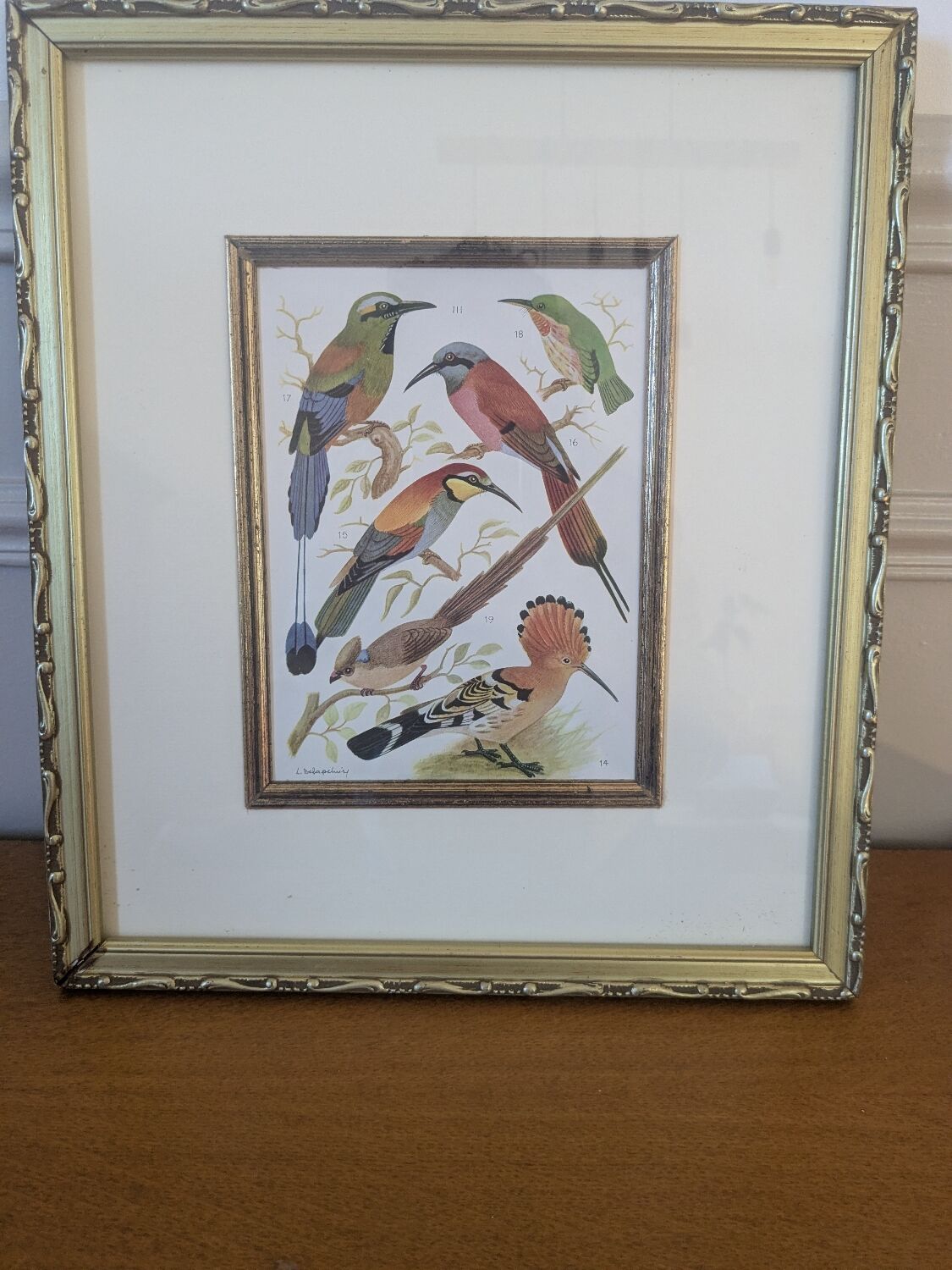 Lithographic frame of birds