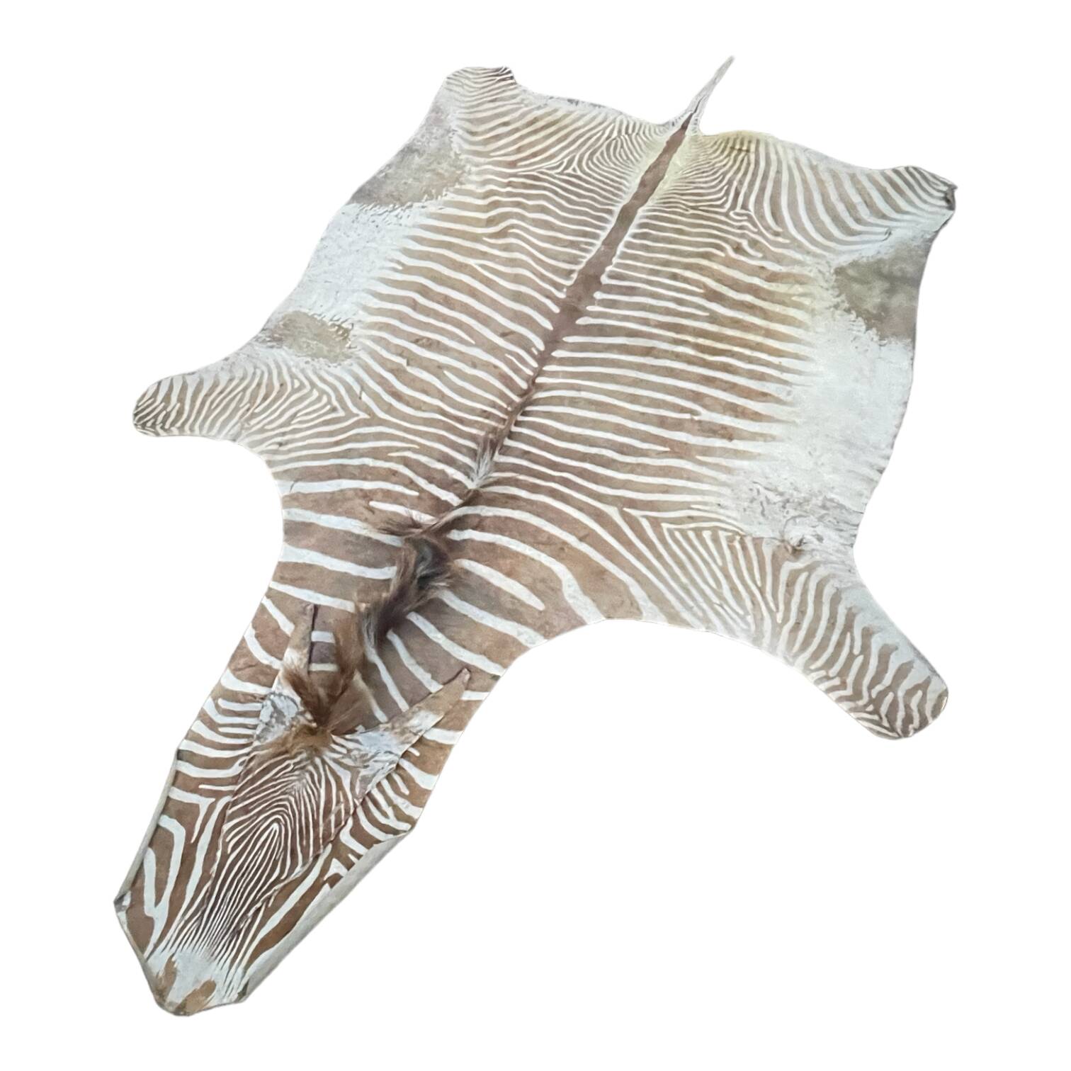 Zebra Skin, Floor Rug / Wall Tapestry, ca 1950