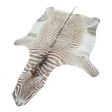 Zebra Skin, Floor Rug / Wall Tapestry, ca 1950