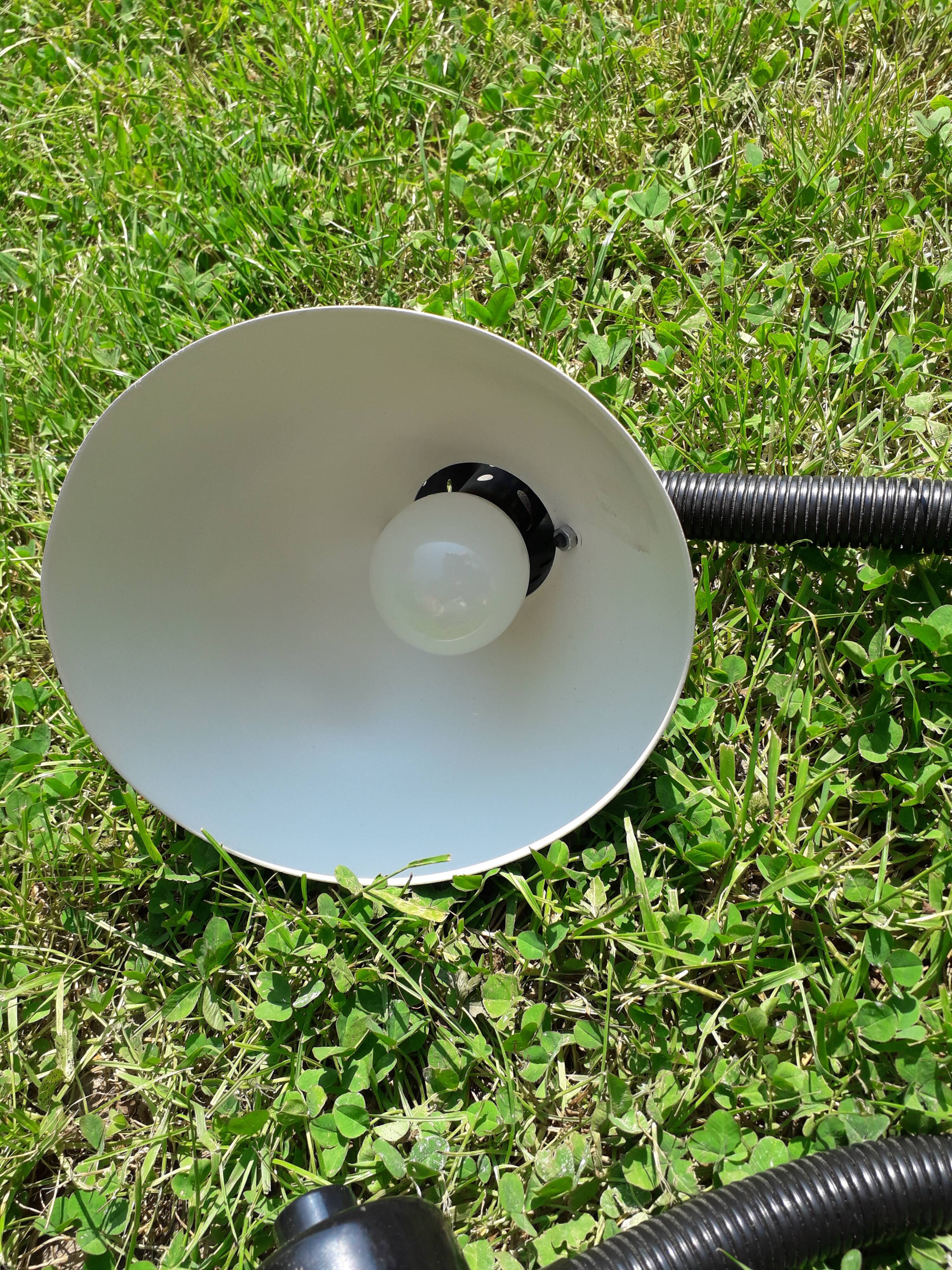 Paire de lampes