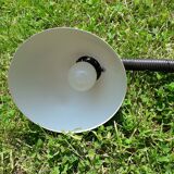 Pair of lamps