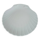 Small porcelain seashell dish