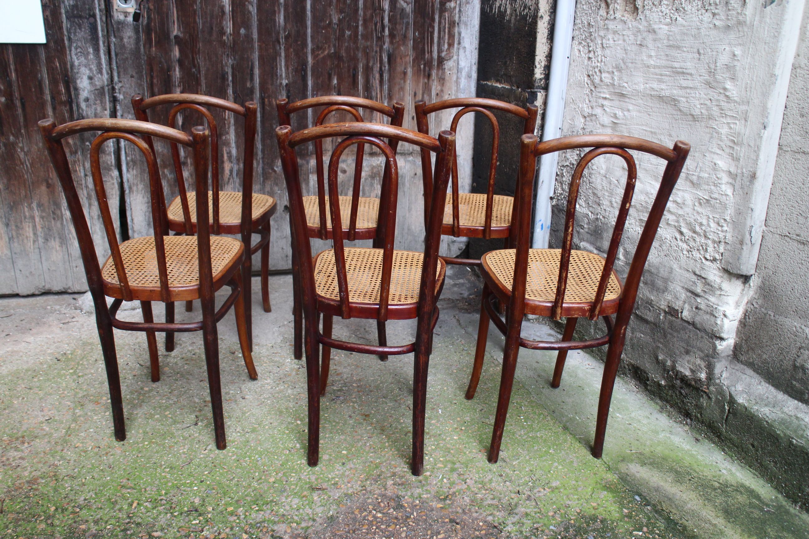 Series of 6 kohn bistro chairs curved wood and cannage