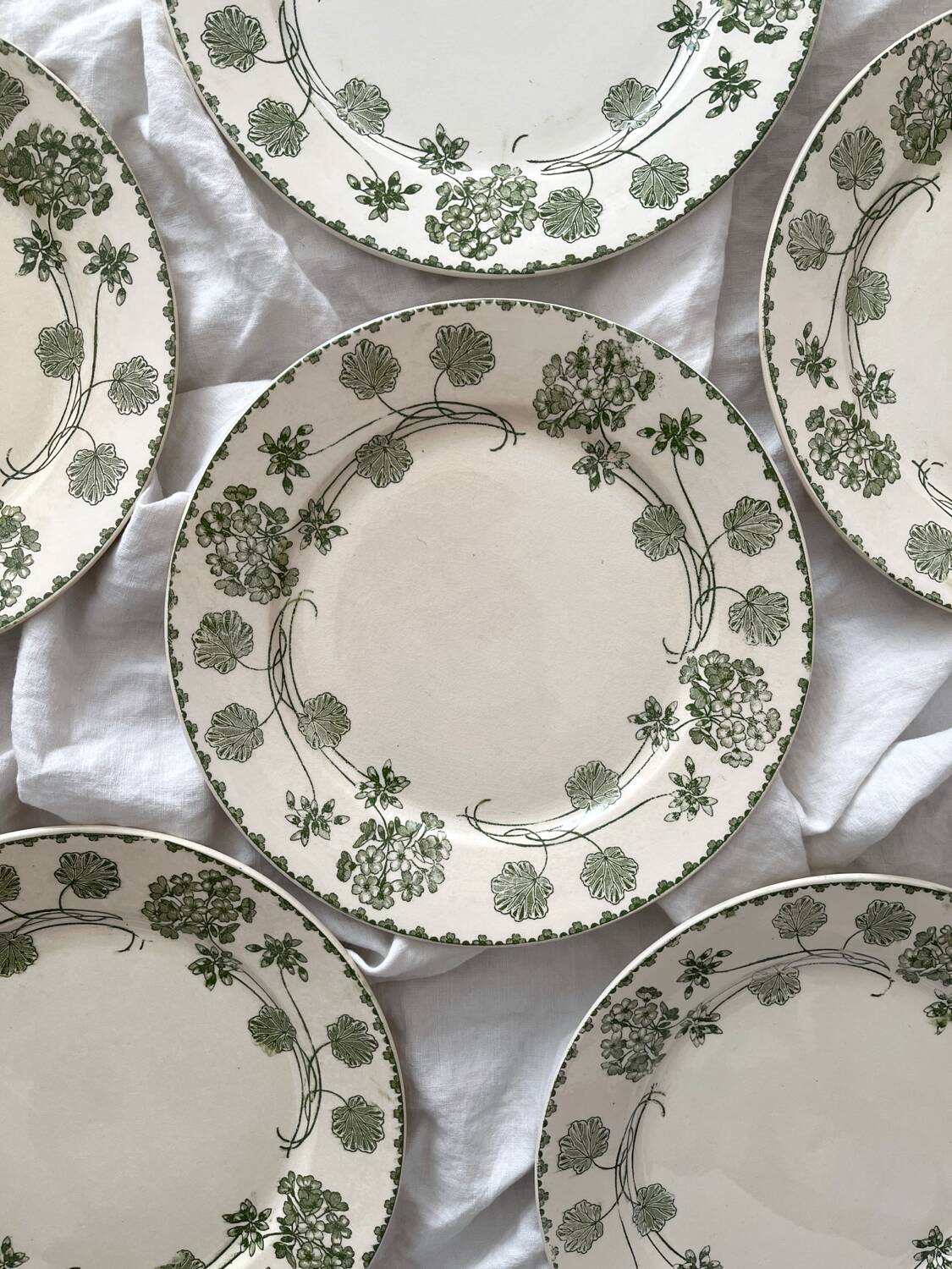 6 antique flat plates made of ironstone "Géranium" Sarreguemines