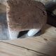 Tabouret