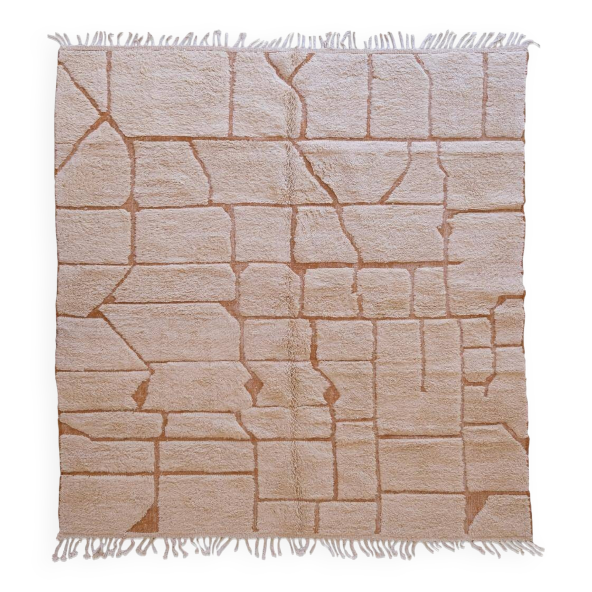Contemporary Beige Rug - 298 x 253 cm