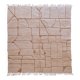 Contemporary Beige Rug - 298 x 253 cm