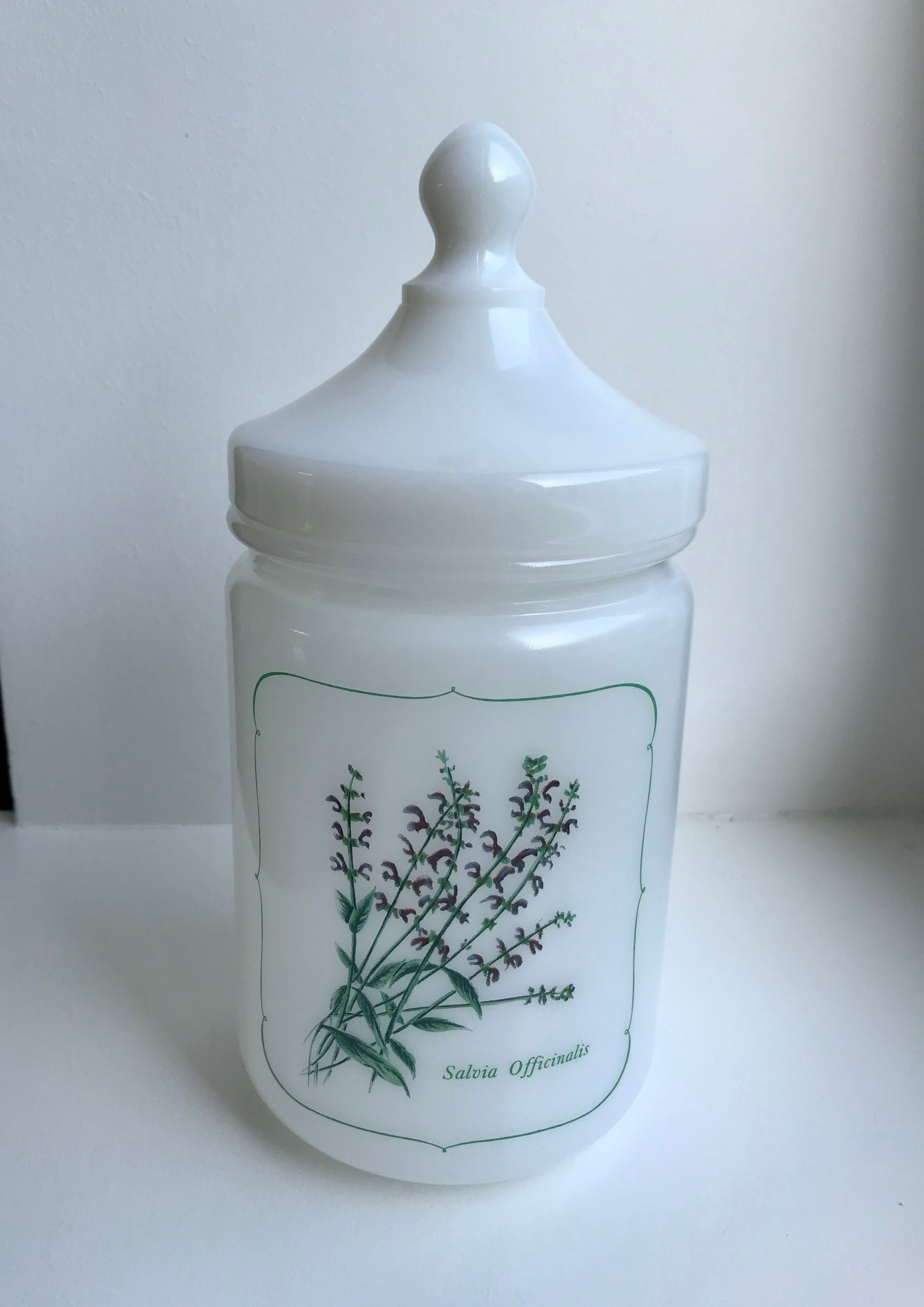 Old pharmacy jar Salvia Officinalis