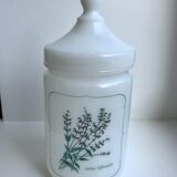 Old pharmacy jar Salvia Officinalis