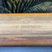 Vintage linen school chart – On Borneo