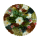 Plates in dabbling