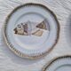 Set of 9 Saint Amand flat plates with fish decor