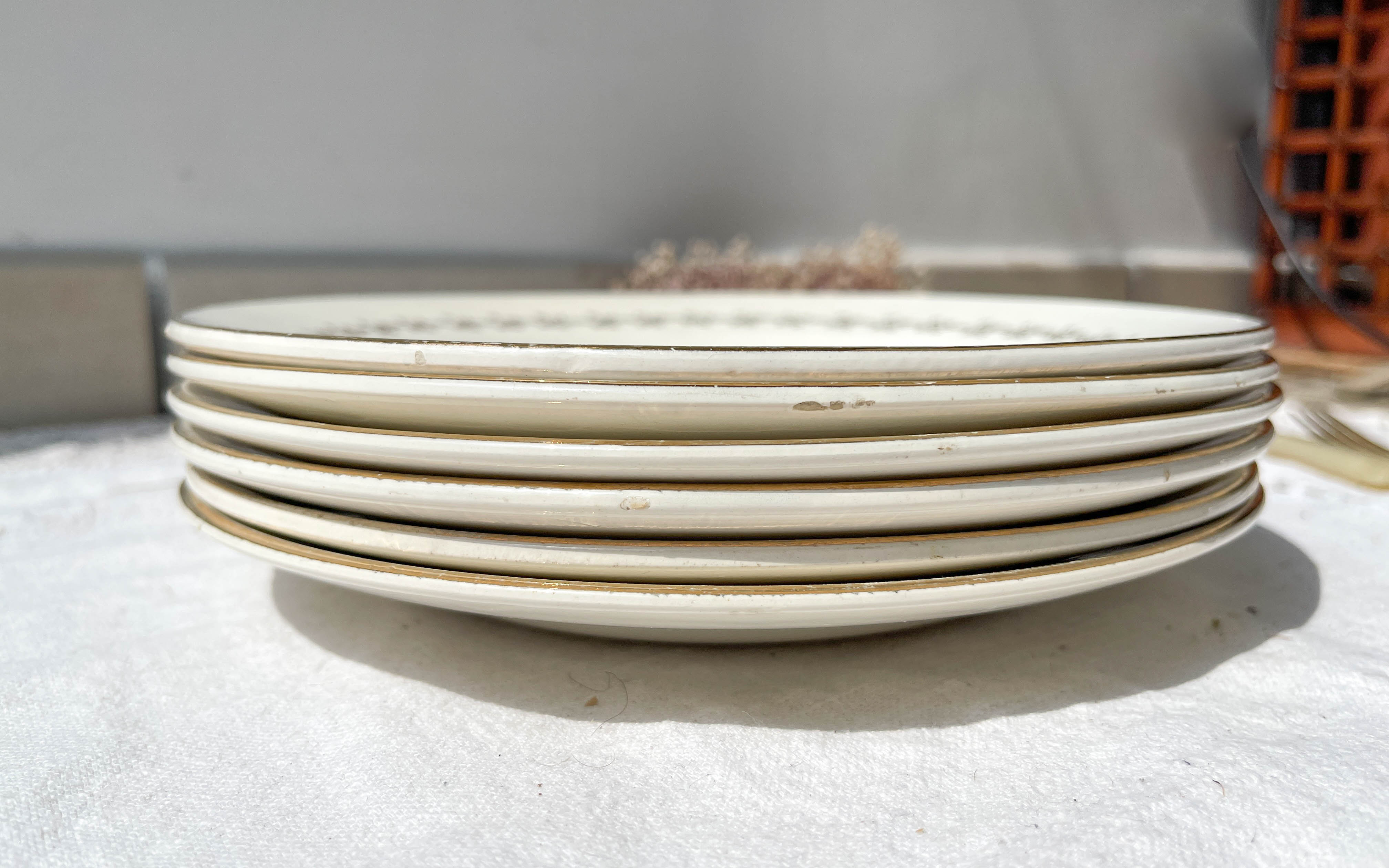 6 opaque porcelain dinner plates, Digoin model "Suzy"