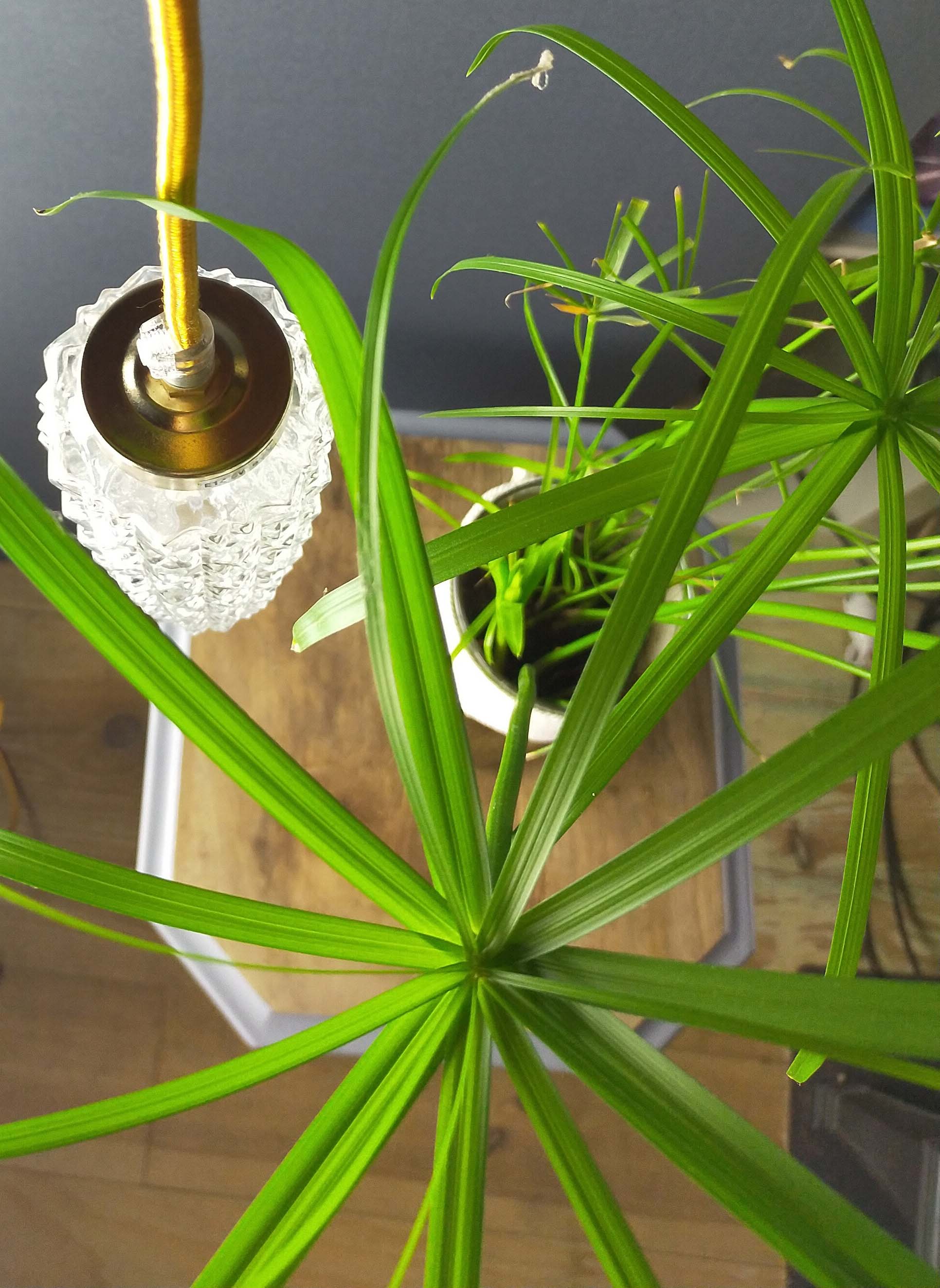 Vintage crystal spike walking lamp