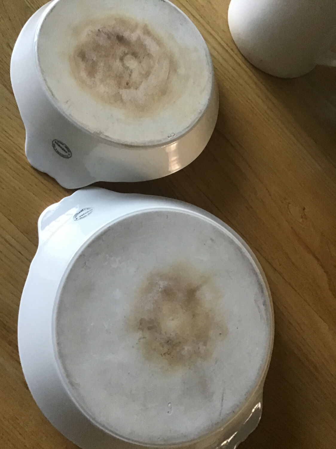 Two Tierra del Fuego eared dishes