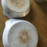 Two Tierra del Fuego eared dishes