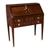 Rosewood and Mahogany Sloping Desk, Louis XVI Style – Mid-19th Century