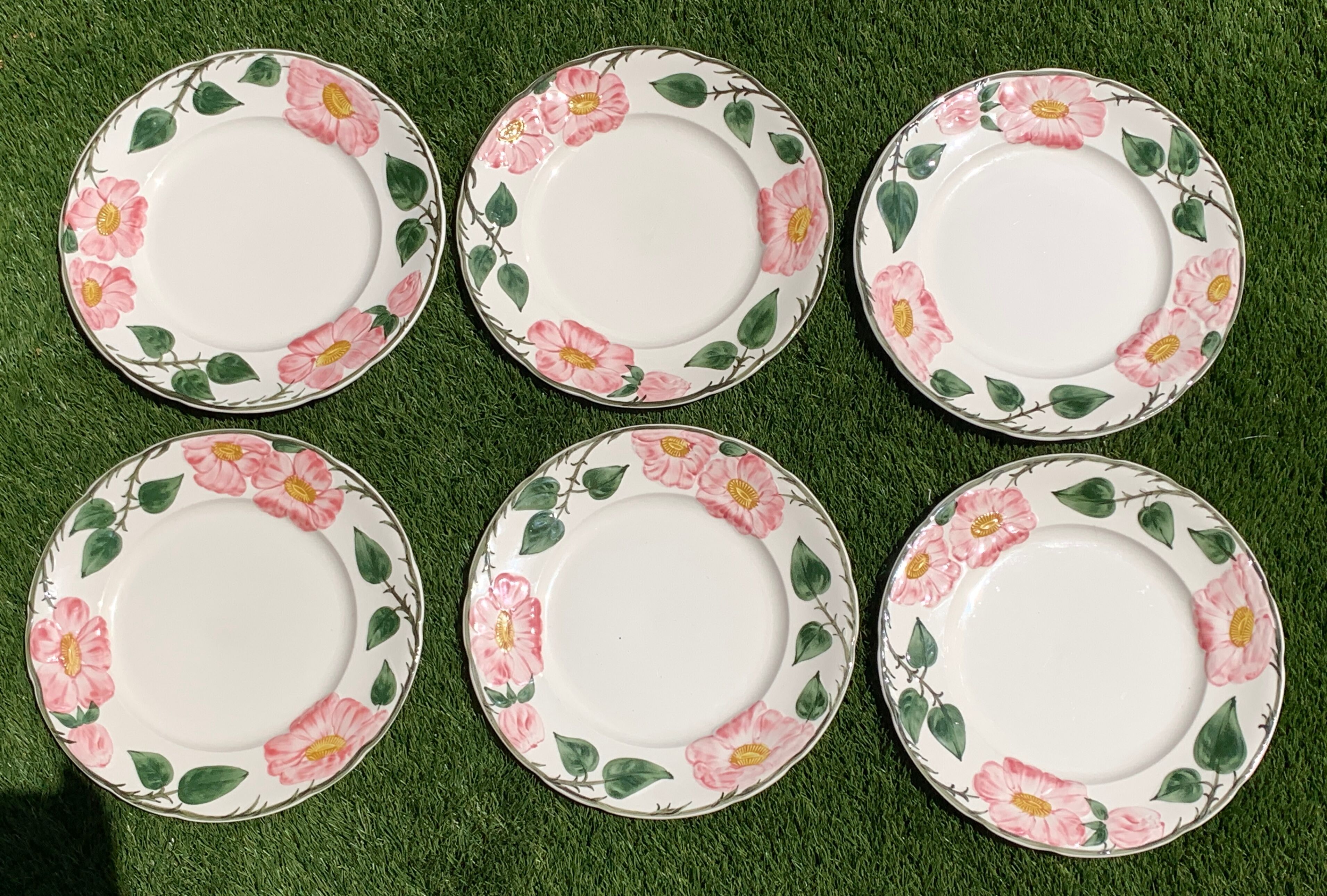 6 flat plates Villeroy and Boch, Wild-Rose model