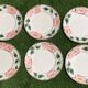 6 flat plates Villeroy and Boch, Wild-Rose model