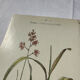 Botanical engraving naturalist plate French flower double-sided