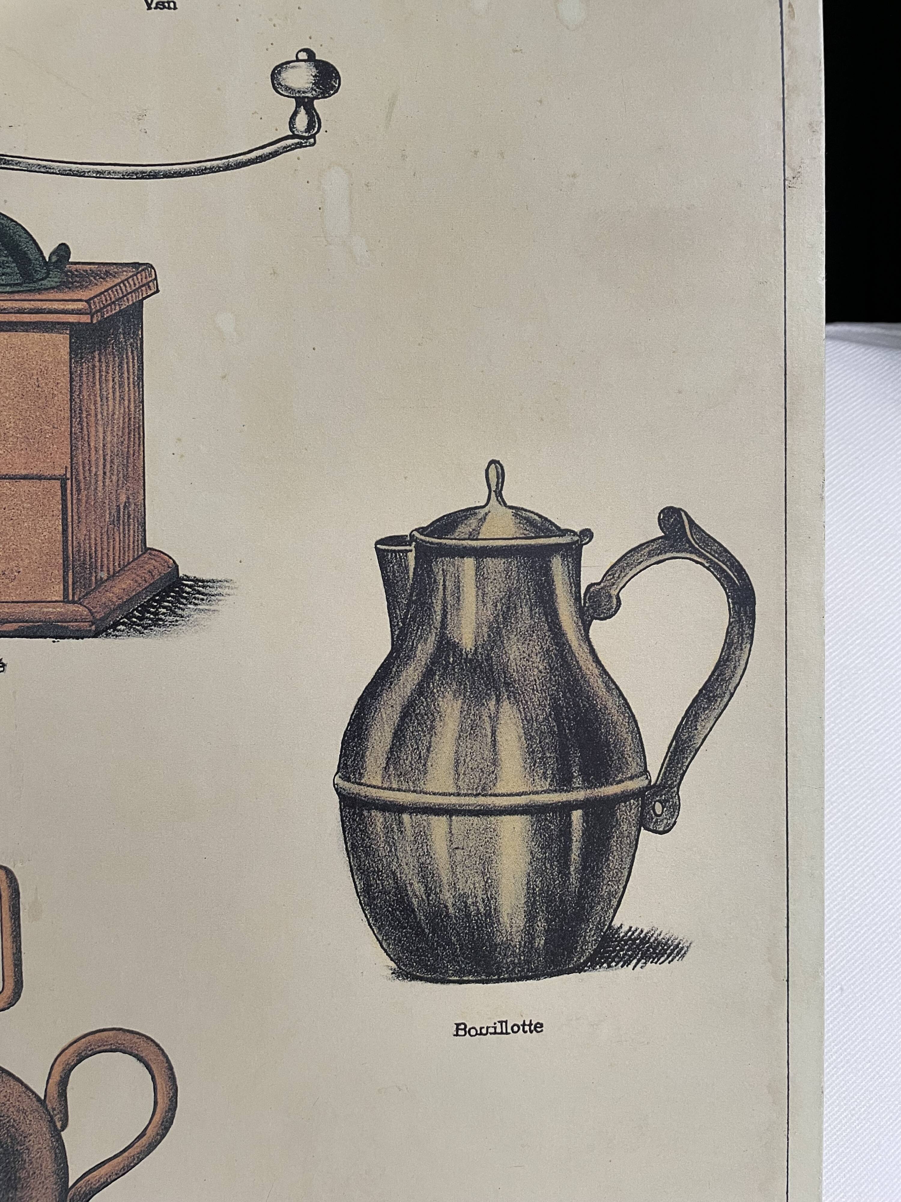 Le Café - Affiche pédagogique Deyrolle imprimée par Bernard Carant, Paris