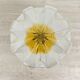 Mid-century Mazzega glass ceiling lamp, 1970s