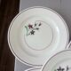 5 flat plates from Salins 210646