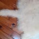 Sheepskin