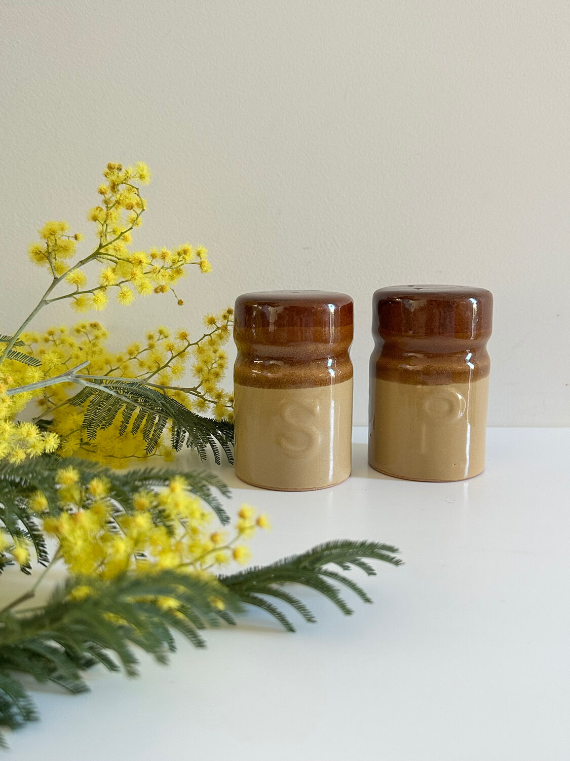 Ceramic salt and pepper duo