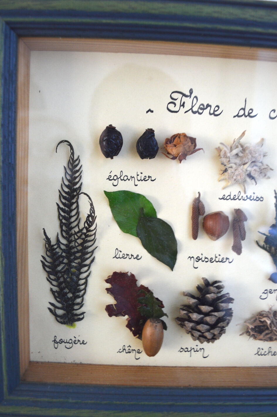 Vintage painting of dried flowers