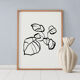 Botanical illustration