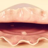 Domed wall vase to hang shell