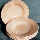 Six assiettes faïence pastel de digoin et sarreguemines anciennes