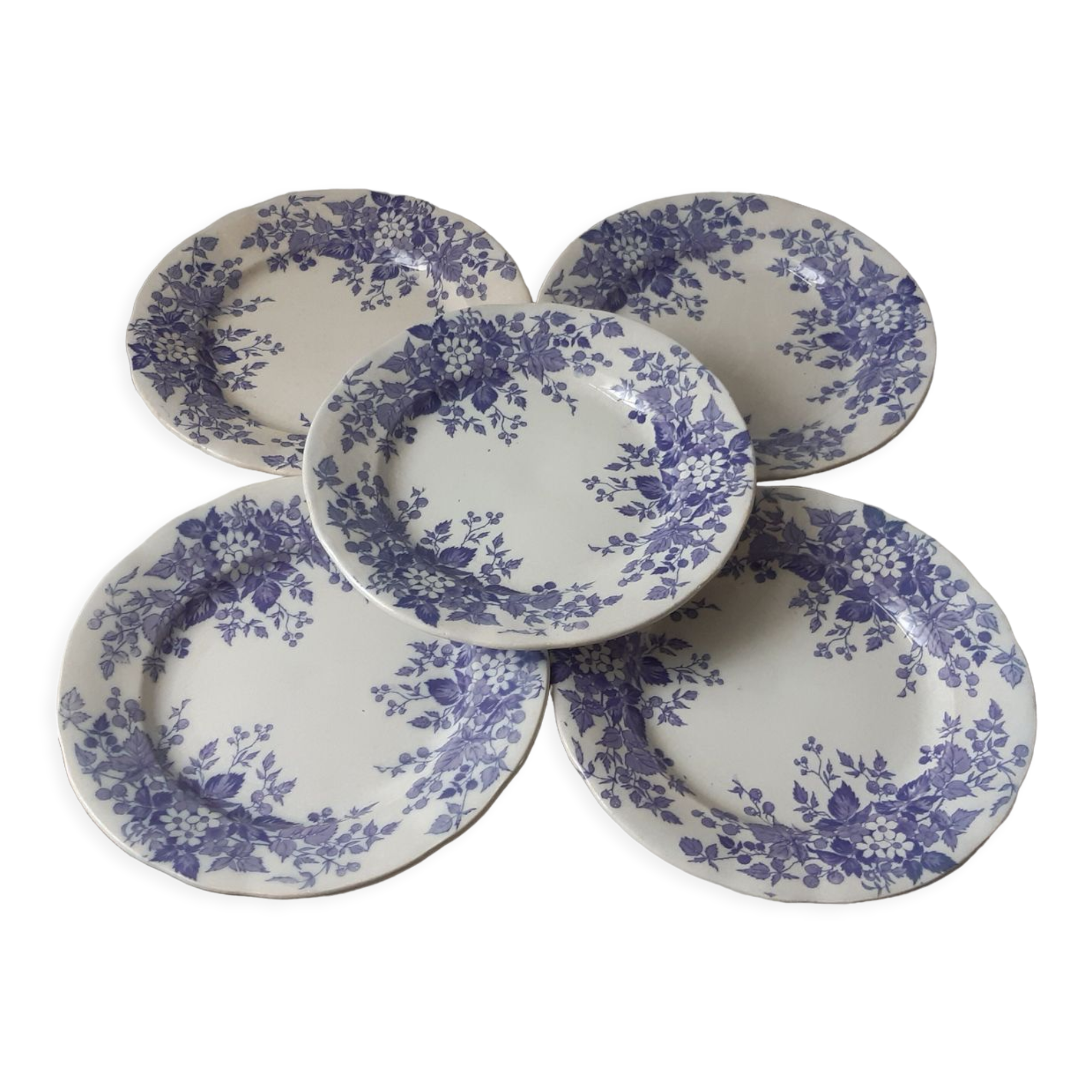 Lot de 5 assiettes plates Terre de Fer U&C Sarreguemines "Rubia" XIXème