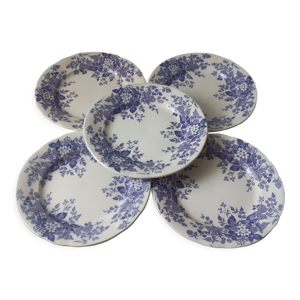Lot de 5 assiettes plates