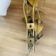 Floral wall light with 2 bulbs in brass and opaline, – 1950s/60s