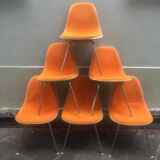 Suite of 6 chairs Dsx Charles and Ray Eames edition Herman Miller 1960