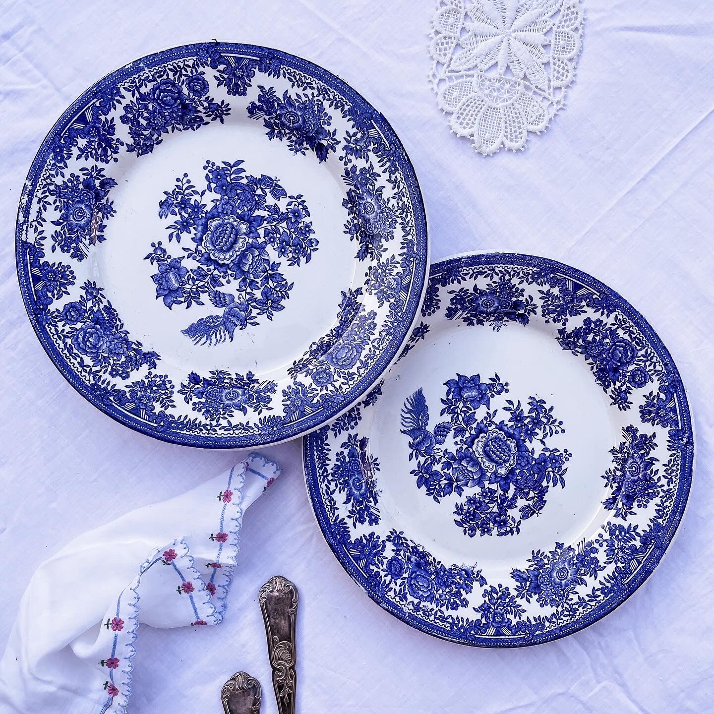 Duo of 2 flat plates Portuguese iron earth