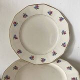 Digoin Sarreguemines dinner plates, floral