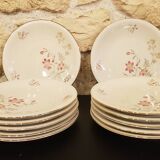 12 dessert plates Schumann Arzberg plates