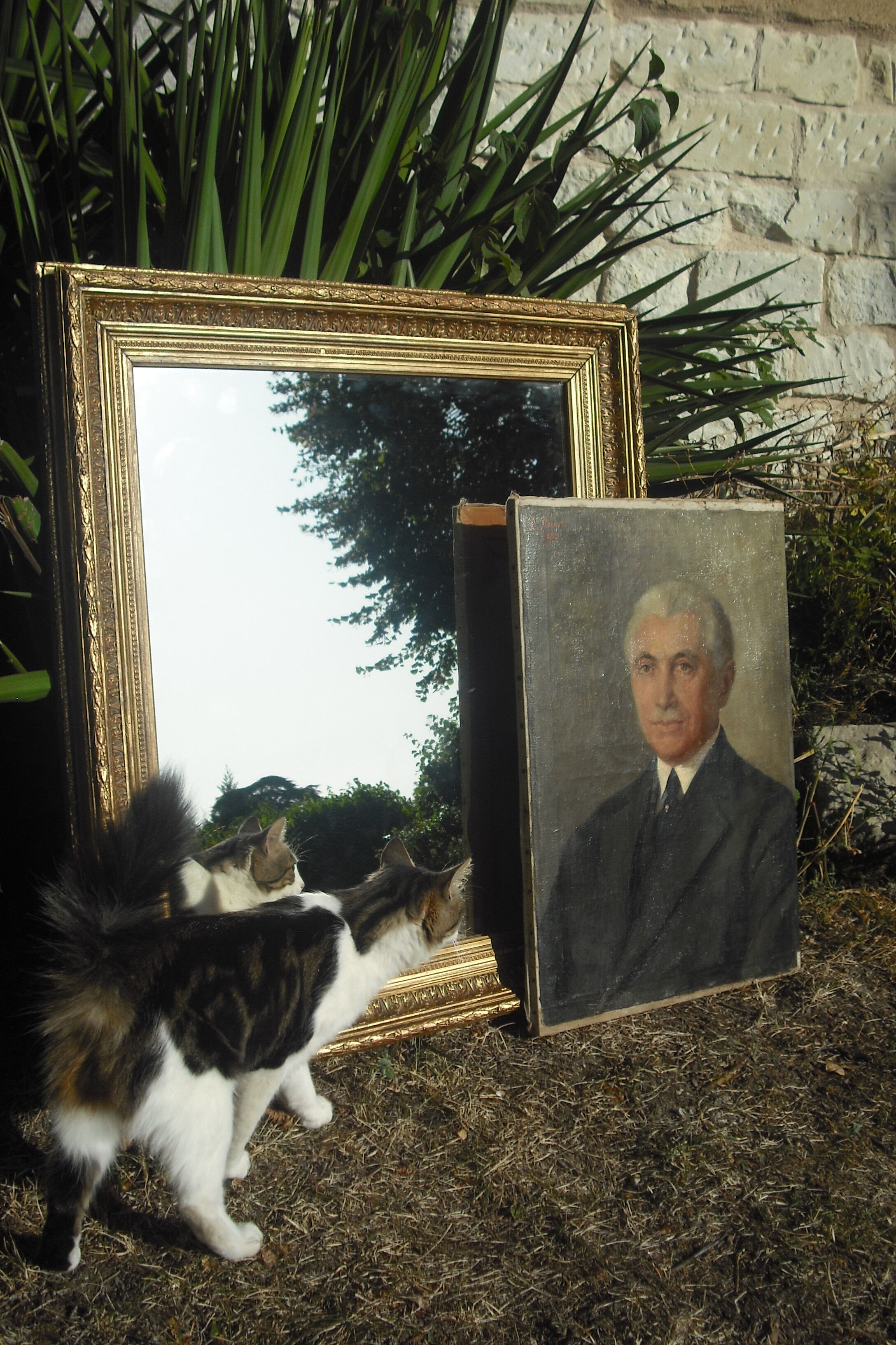 Thick mirror 19th 80x68cm