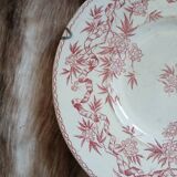 Antique plate in ironstone
