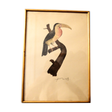 Toucan - 19th century watercolour original drawing