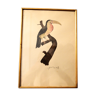 Toucan - 19th century watercolour original drawing